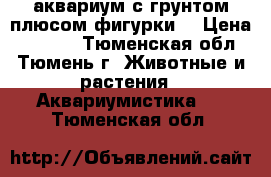 аквариум с грунтом плюсом фигурки  › Цена ­ 2 000 - Тюменская обл., Тюмень г. Животные и растения » Аквариумистика   . Тюменская обл.